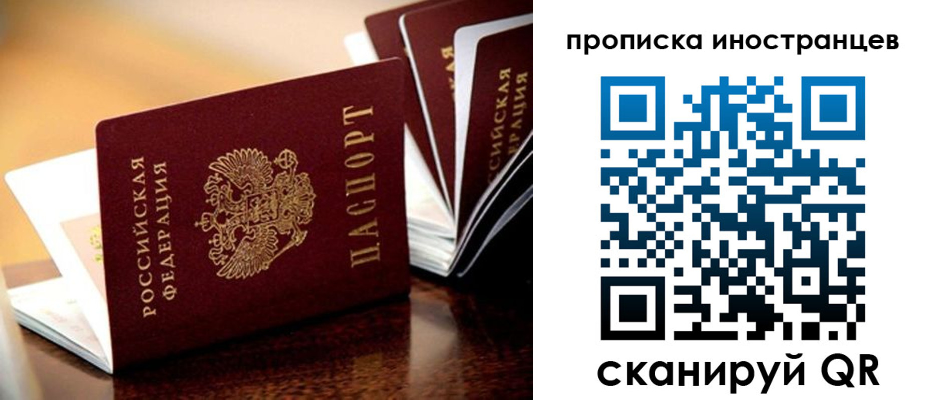 прописка паспорт в Камышине